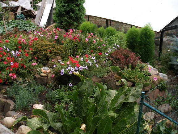 Коллекция Александра Животенко (Ирпень)