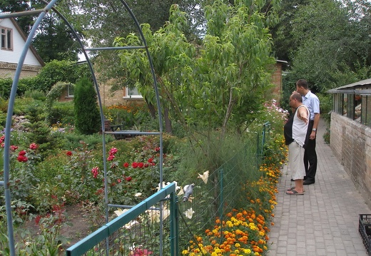 Коллекция Александра Животенко (Ирпень)