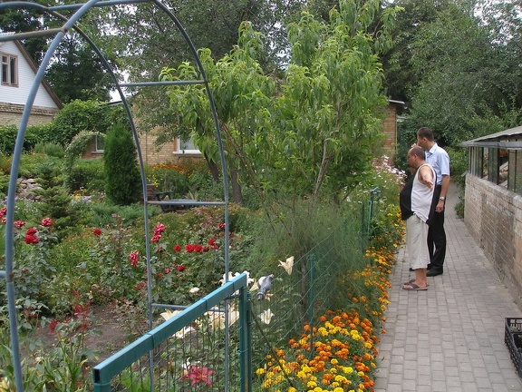 Коллекция Александра Животенко (Ирпень)