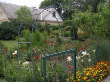 Коллекция Александра Животенко (Ирпень)