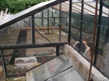 Коллекция Александра Животенко (Ирпень)