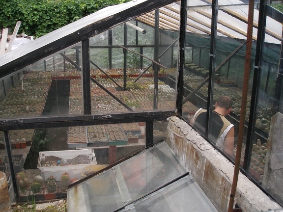 Коллекция Александра Животенко (Ирпень)