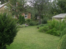 Коллекция Александра Животенко (Ирпень)