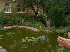 Коллекция Александра Животенко (Ирпень)