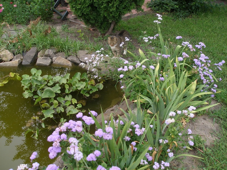 PA060071.JPG