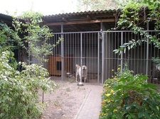 Коллекция Александра Животенко (Ирпень)