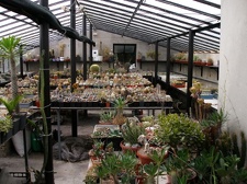 Коллекция Александра Животенко (Ирпень)