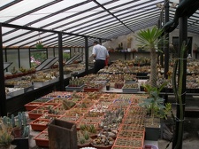 Коллекция Александра Животенко (Ирпень)