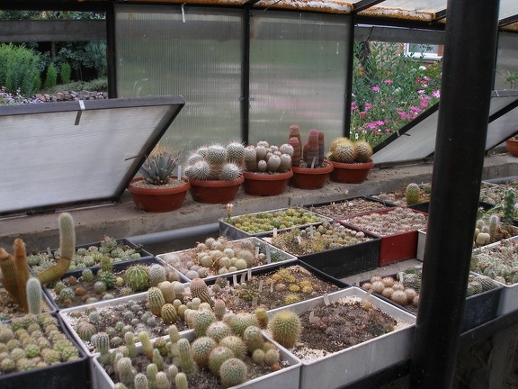 Коллекция Александра Животенко (Ирпень)