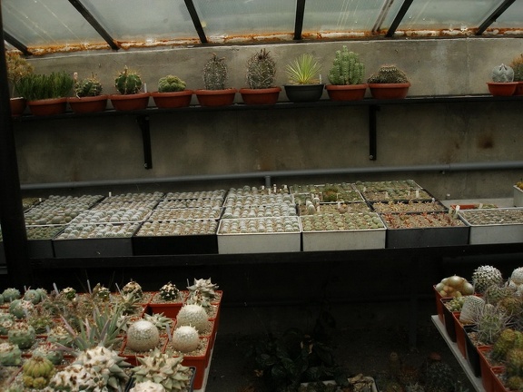 Коллекция Александра Животенко (Ирпень)