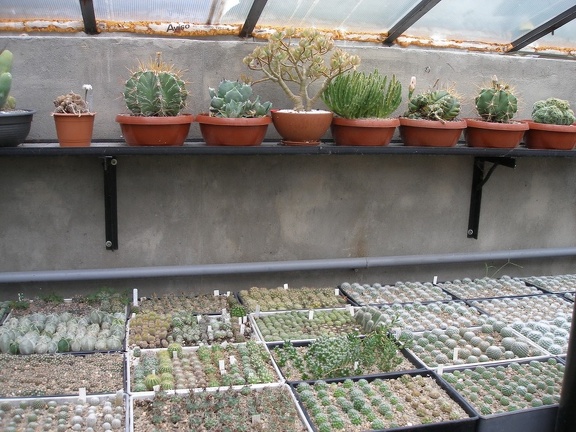 Коллекция Александра Животенко (Ирпень)