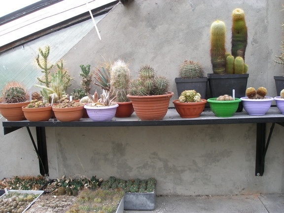 Коллекция Александра Животенко (Ирпень)