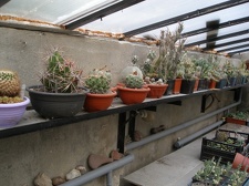 Коллекция Александра Животенко (Ирпень)