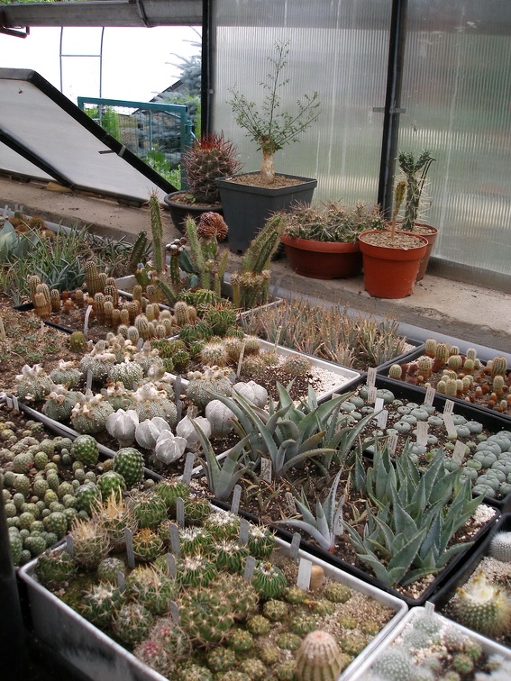 Коллекция Александра Животенко (Ирпень)