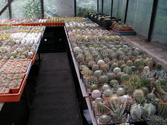 Коллекция Александра Животенко (Ирпень)