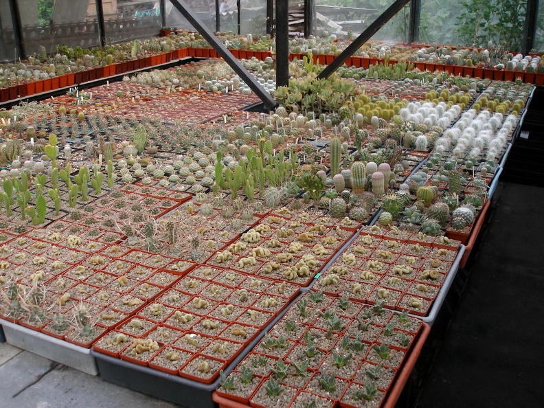 PA060125.JPG