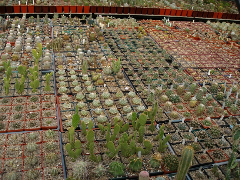 PA060126.JPG