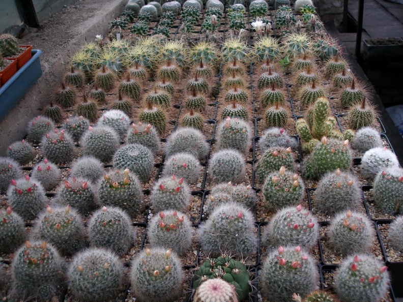 PA060134.JPG