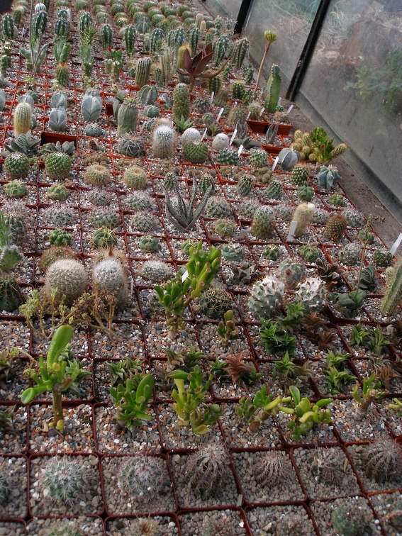 Коллекция Александра Животенко (Ирпень)