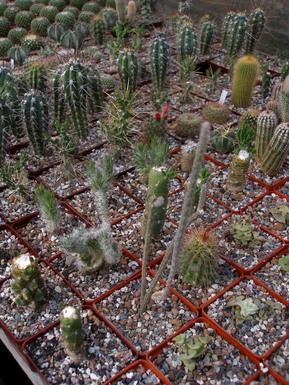 Коллекция Александра Животенко (Ирпень)