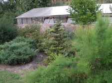 Коллекция Александра Животенко (Ирпень)