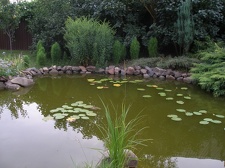 Коллекция Александра Животенко (Ирпень)