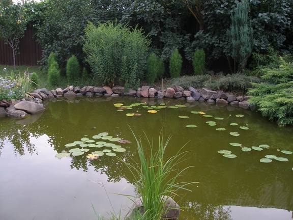 Коллекция Александра Животенко (Ирпень)