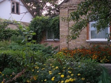 Коллекция Александра Животенко (Ирпень)