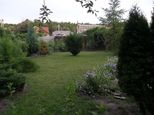 Коллекция Александра Животенко (Ирпень)