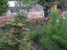 Коллекция Александра Животенко (Ирпень)