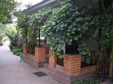 Коллекция Александра Животенко (Ирпень)