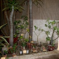 IMG_6807.JPG