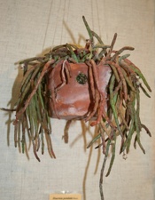 Выставка суккулентов в Ботсаду 04-07.10.2012