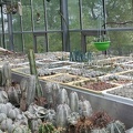 20080501_donetsk_piltz_ilyashenko_1198.jpg
