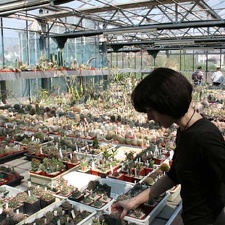 20080501 donetsk piltz ilyashenko 297