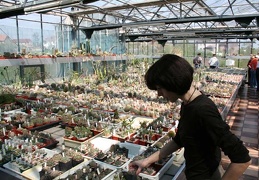20080501 donetsk piltz ilyashenko 297