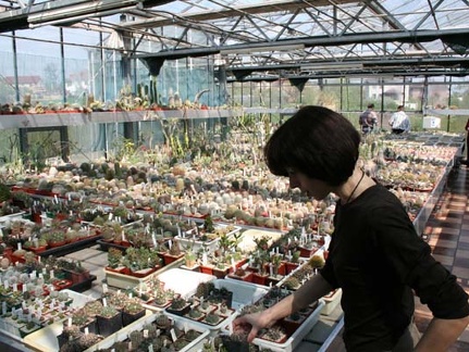 20080501 donetsk piltz ilyashenko 297