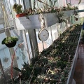 20080501_donetsk_piltz_ilyashenko_298.jpg