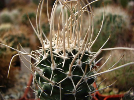 Майские праздники в Донецке