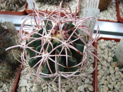 Майские праздники в Донецке