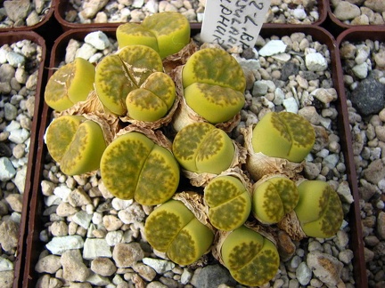 Майские праздники в Донецке