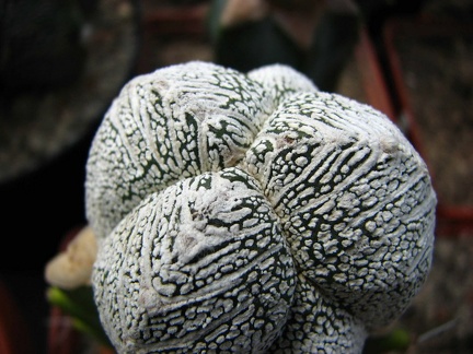 Майские праздники в Донецке