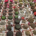img_6907.jpg