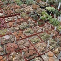 img_6993.jpg