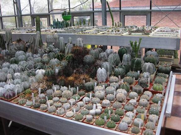 Выставка 1 мая 2009 (Донецк)