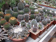 Выставка 1 мая 2009 (Донецк)