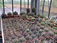 Выставка 1 мая 2009 (Донецк)