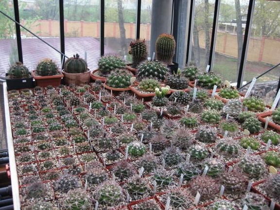 Выставка 1 мая 2009 (Донецк)