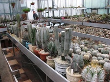 Выставка 1 мая 2009 (Донецк)