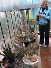 Выставка 1 мая 2009 (Донецк)